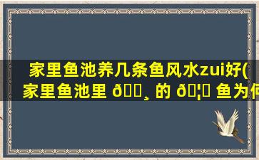 家里鱼池养几条鱼风水zui
好(家里鱼池里 🌸 的 🦄 鱼为何经常会死)